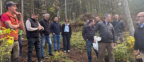 Einsatz im Wald Einsatz im Wald