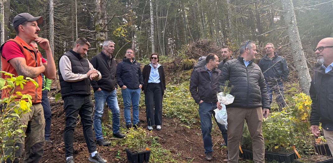 Einsatz im Wald Einsatz im Wald